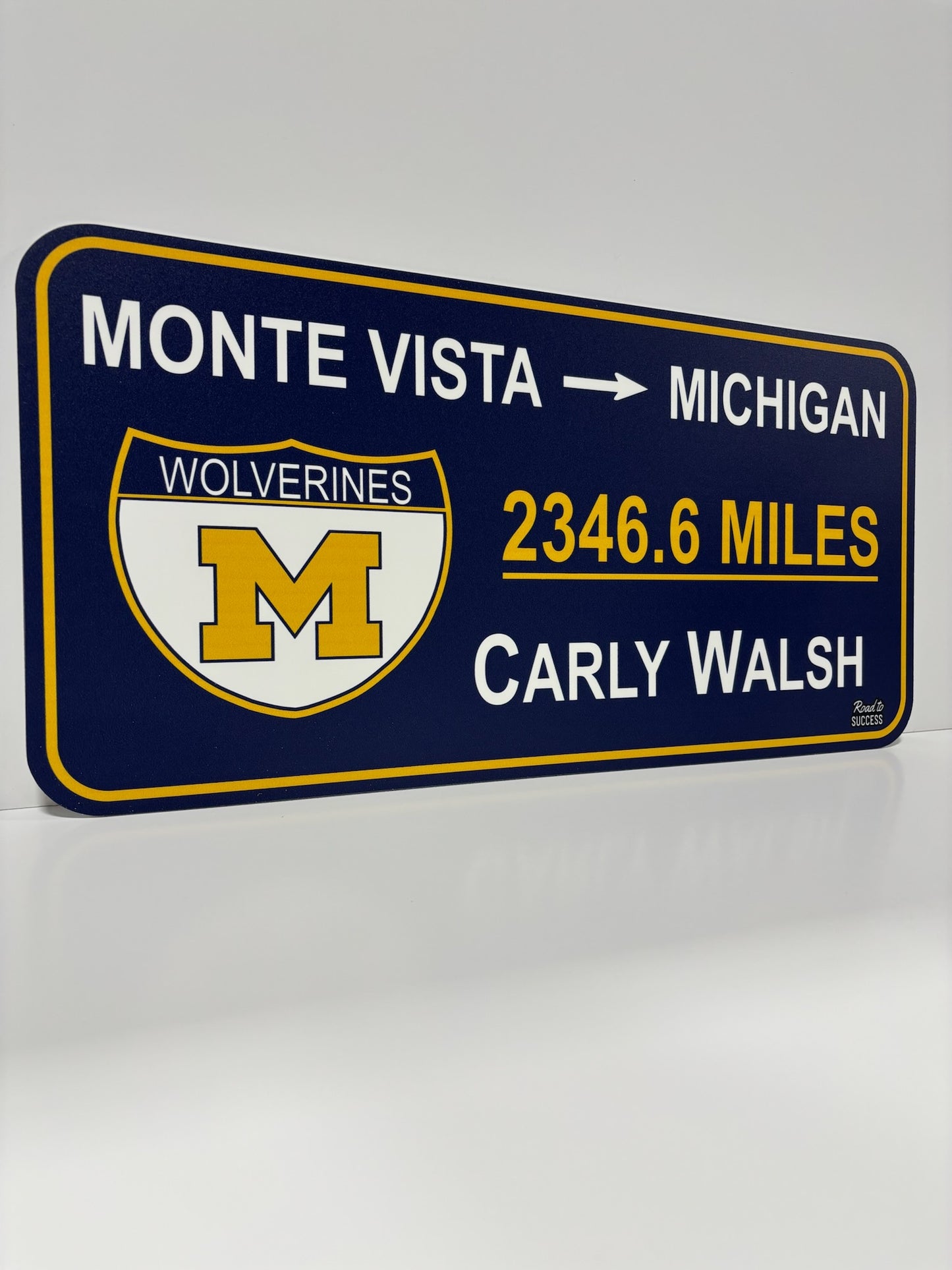 College Road Sign - Regular Size