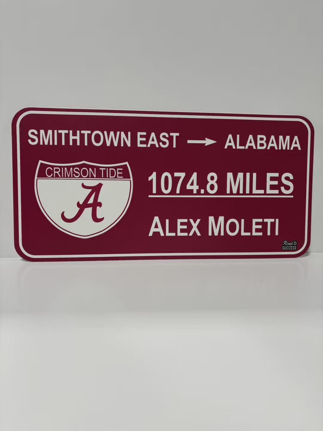 Custom College Road Sign - Regular Size
